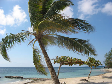 Honduras Utila - 12 - Beach_JPG