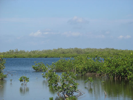 Honduras Utila - 13 - Lake_JPG