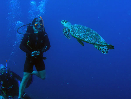 Utila Diving - 11 - Dude_JPG